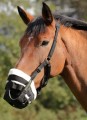 Freegraze Deluxe Grazing Muzzle